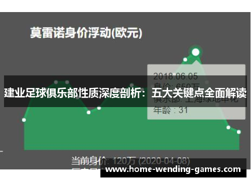 建业足球俱乐部性质深度剖析：五大关键点全面解读