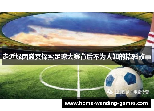 走近绿茵盛宴探索足球大赛背后不为人知的精彩故事