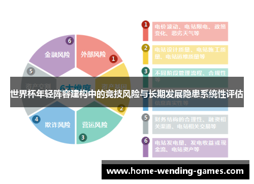 世界杯年轻阵容建构中的竞技风险与长期发展隐患系统性评估