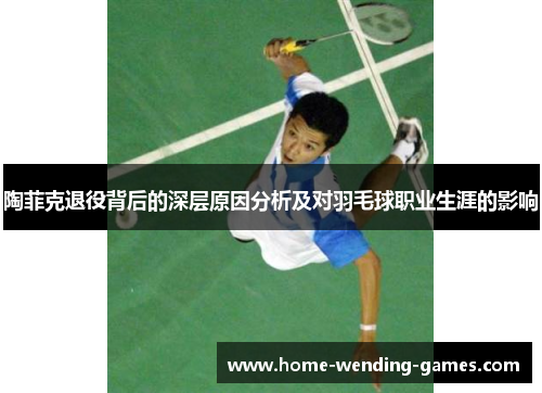陶菲克退役背后的深层原因分析及对羽毛球职业生涯的影响